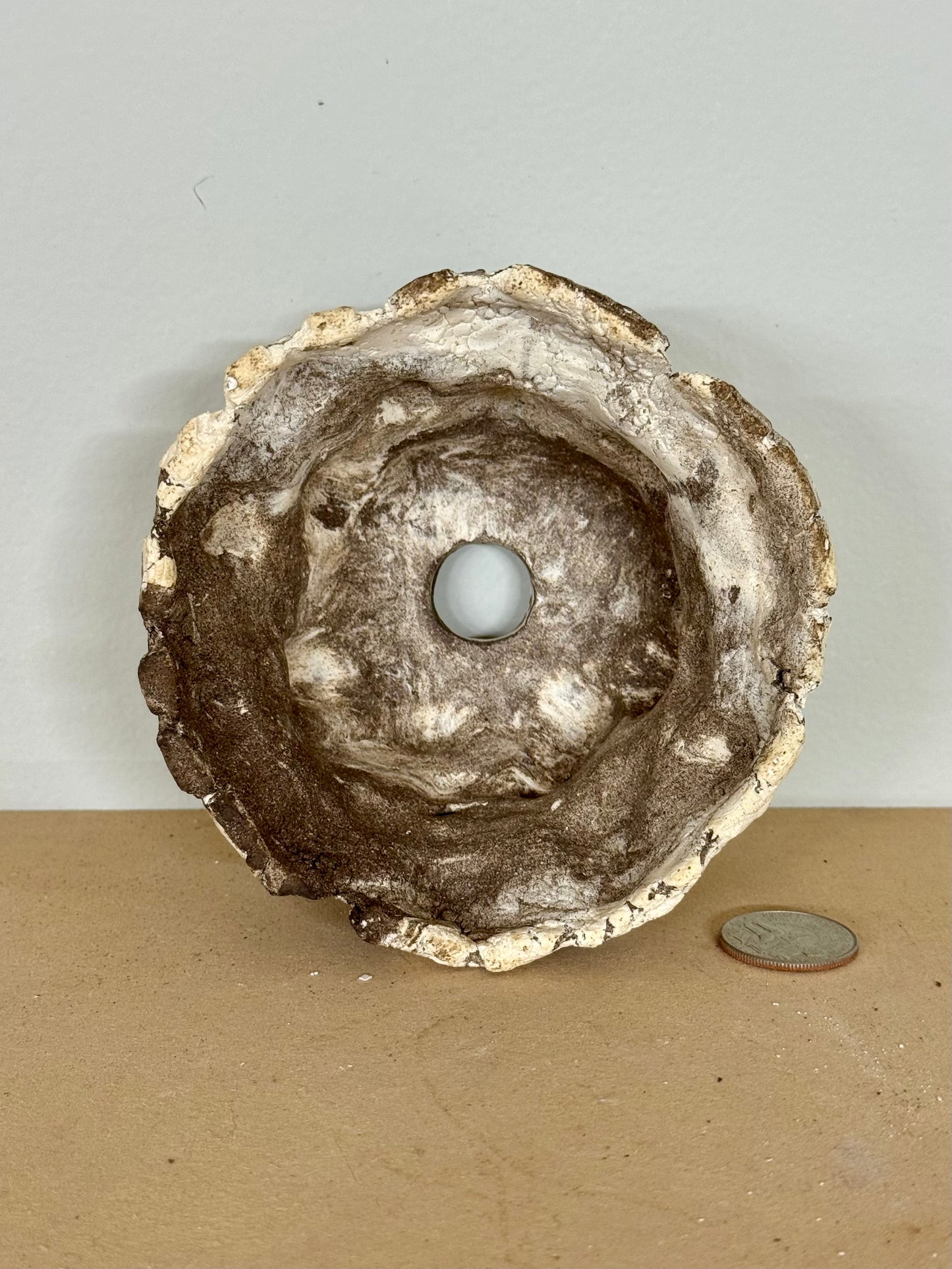 Limestone - 4.5 x 2.75”