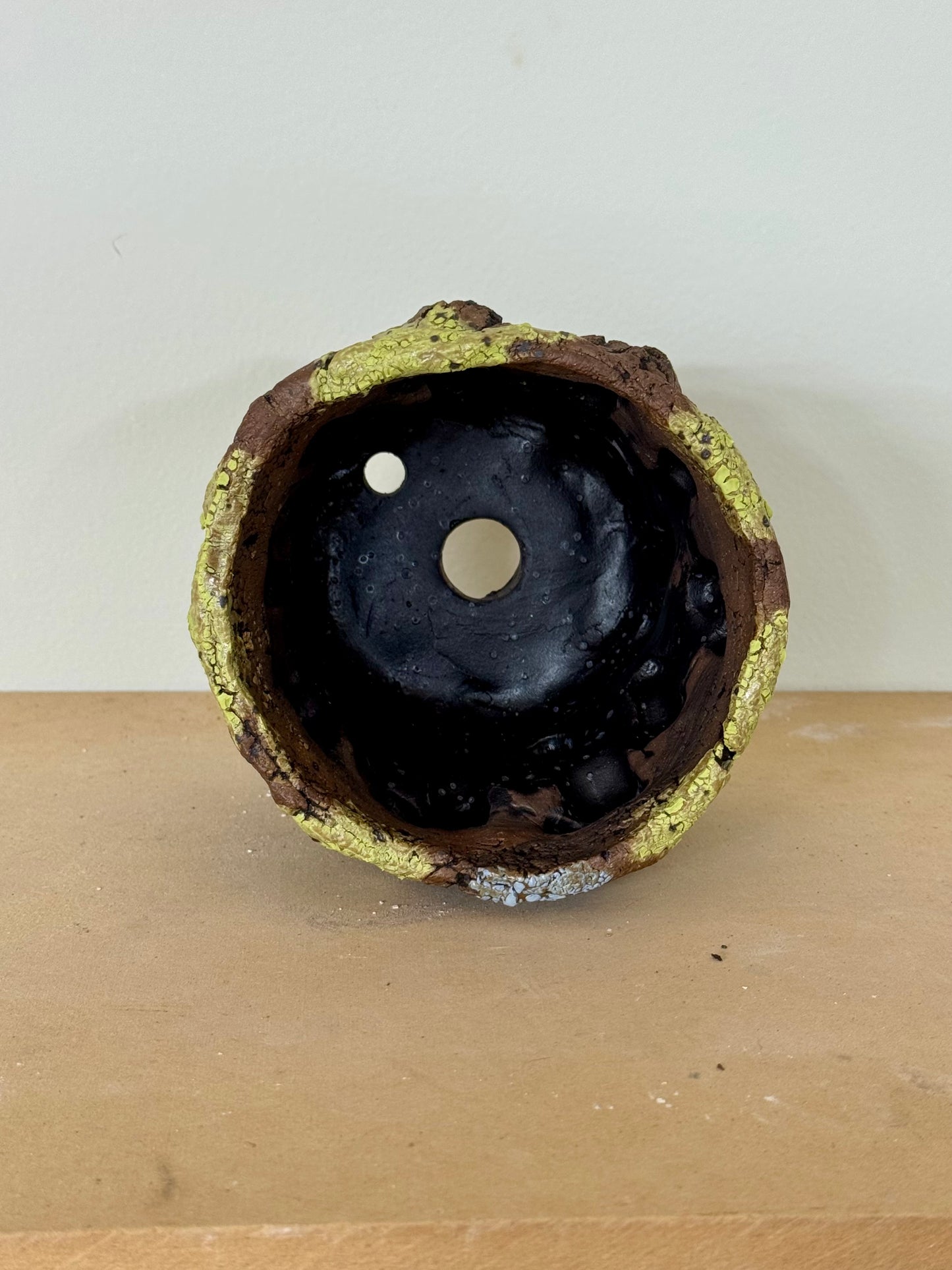 Lichen - 4.5 x 3.75”