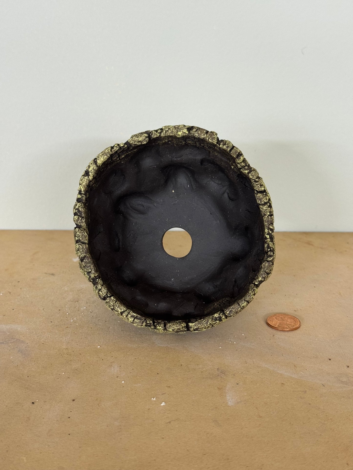 Lichen - 4 x 2.25”