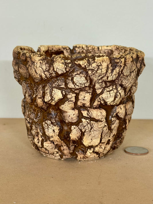 Sonoran - 5 x 4”