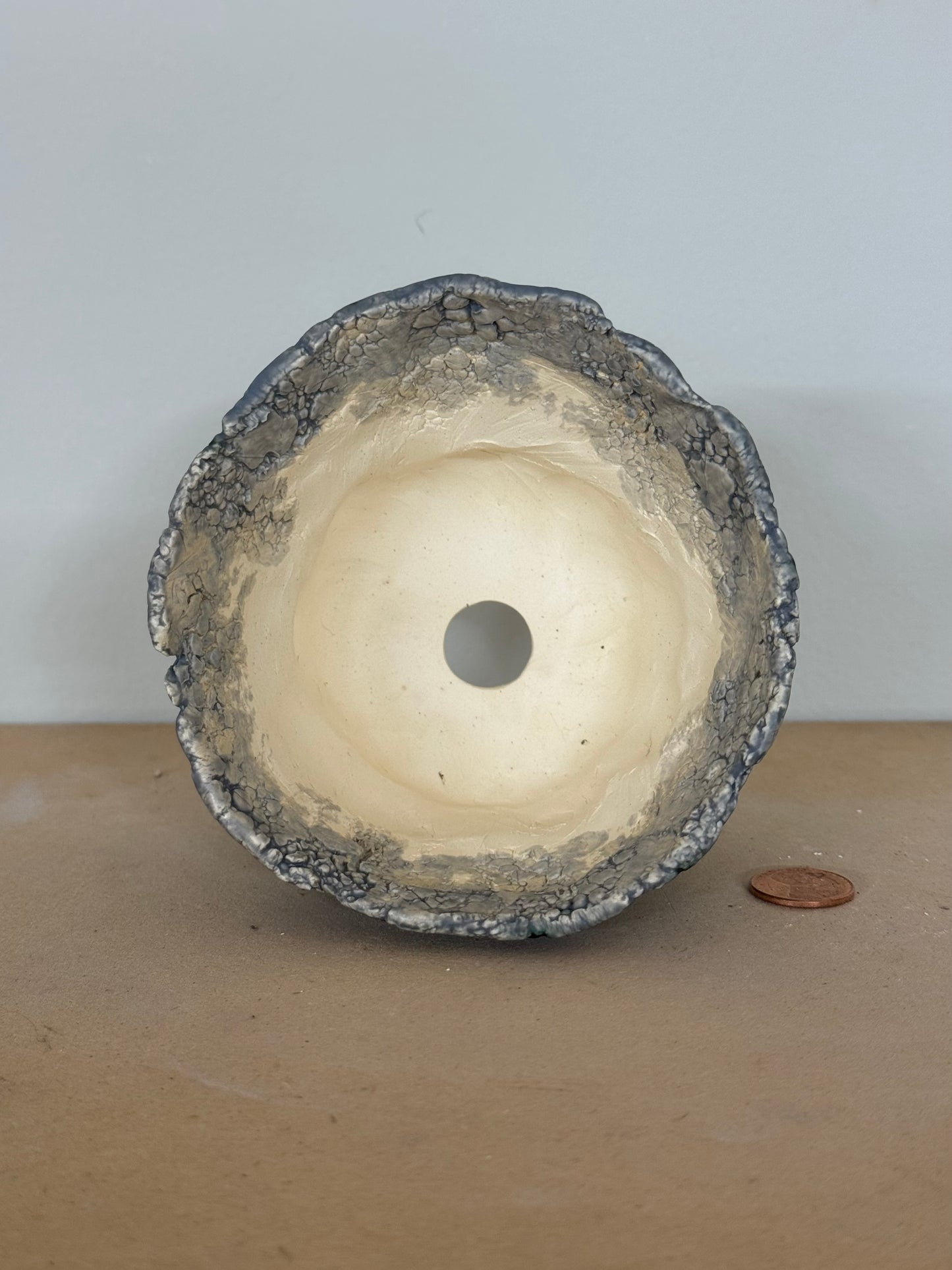 Fungi - 4.25 x 2.75”