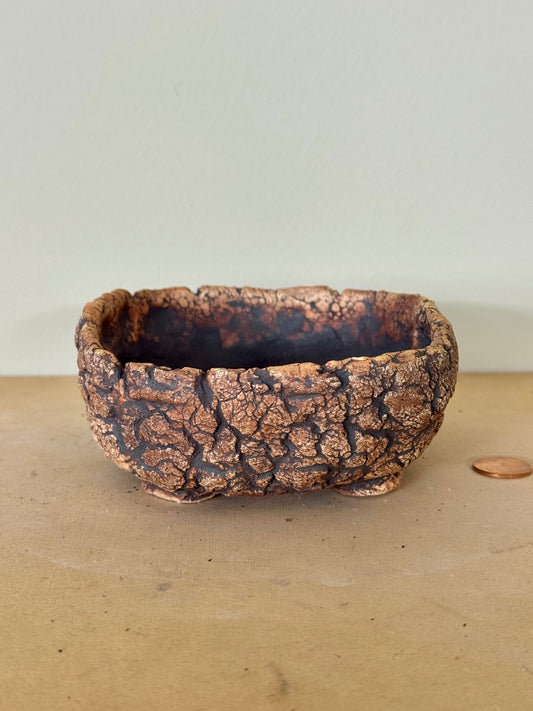 Astroid Bonsai - 5 x 4.5 x 1.5”