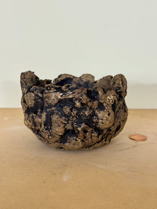 Reclaim - 3.75 x 2.5”