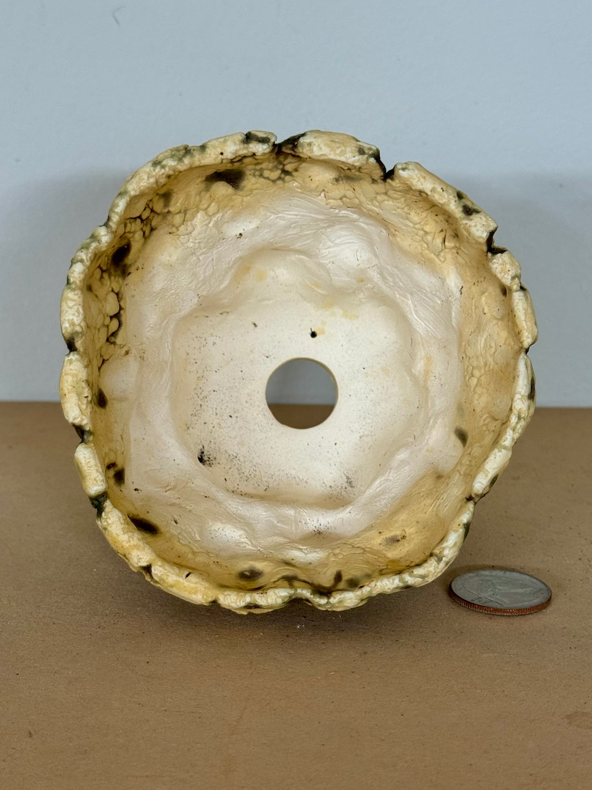 Ancient Waters Wash w/ legs - 4 x 3.25”