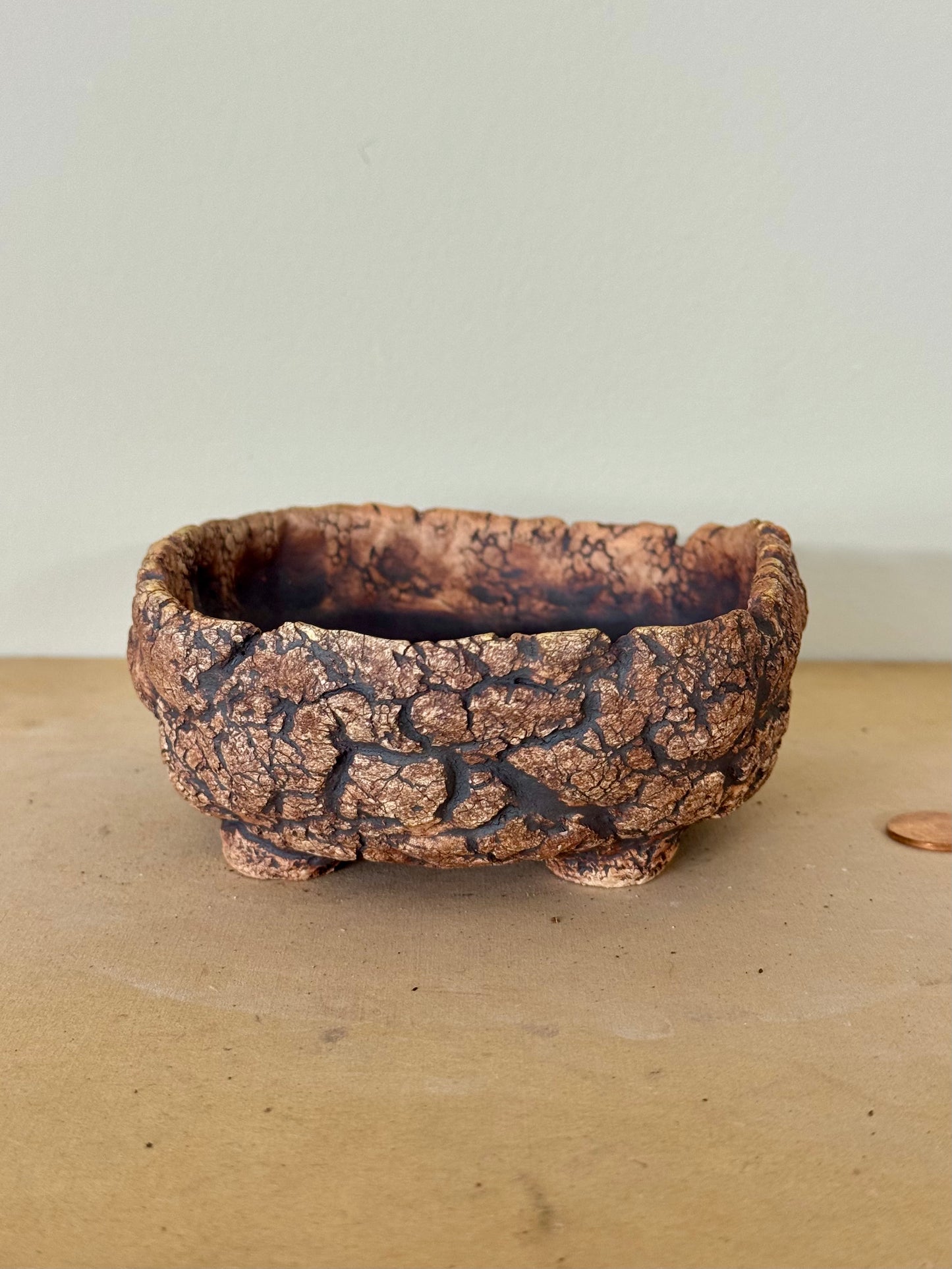 Astroid Bonsai - 5 x 4.5 x 1.5”