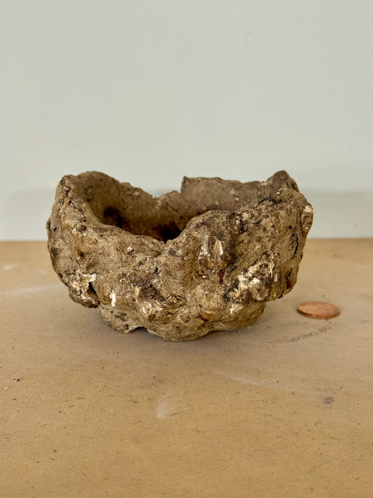 Reclaim - 3.5 x 2”