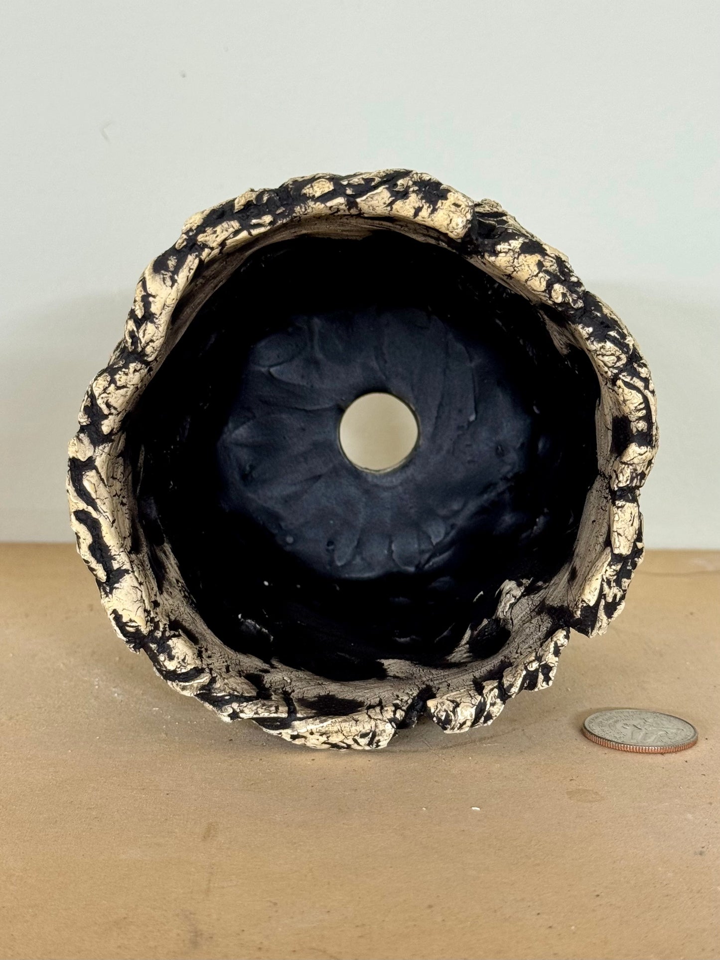 Death Valley twisted roots - 4.25 x 4.25”