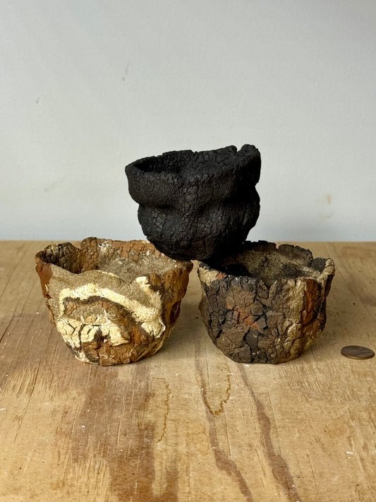 Mini trio variety pack - approx 3 x 2”