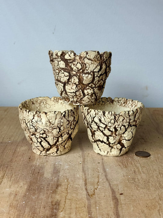 Mini trio, Sonoran - approx 3 x 2.5”