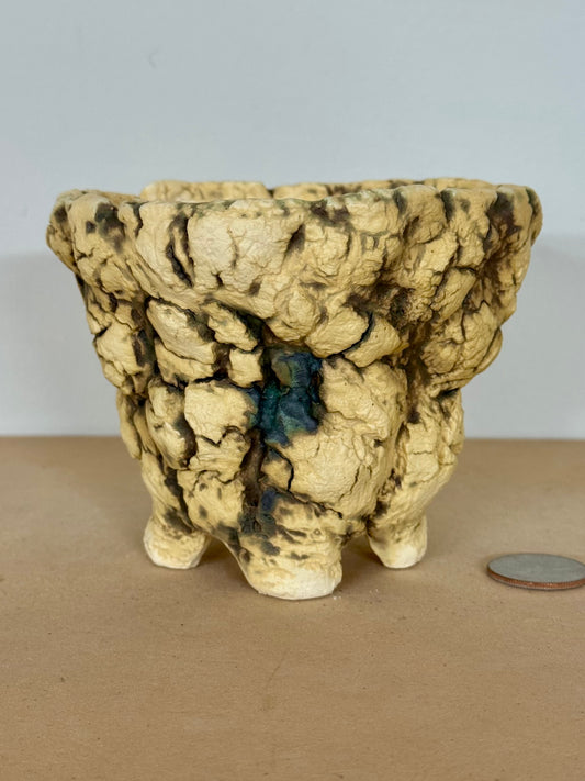 Ancient Waters Wash w/ legs - 4 x 3.25”