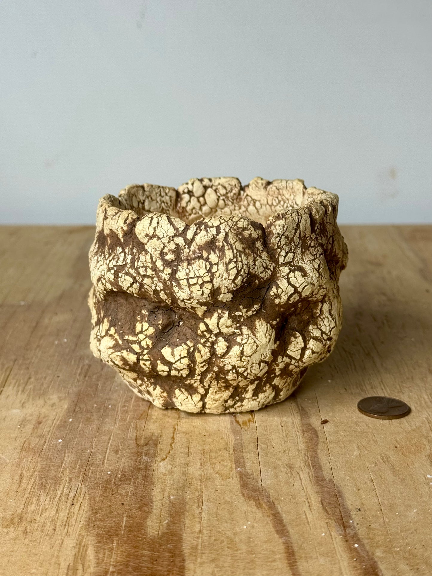 Sonoran - 3.5 x 3”