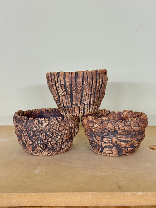 Mini Trio, Astroid Variety - approx 3 x 2”