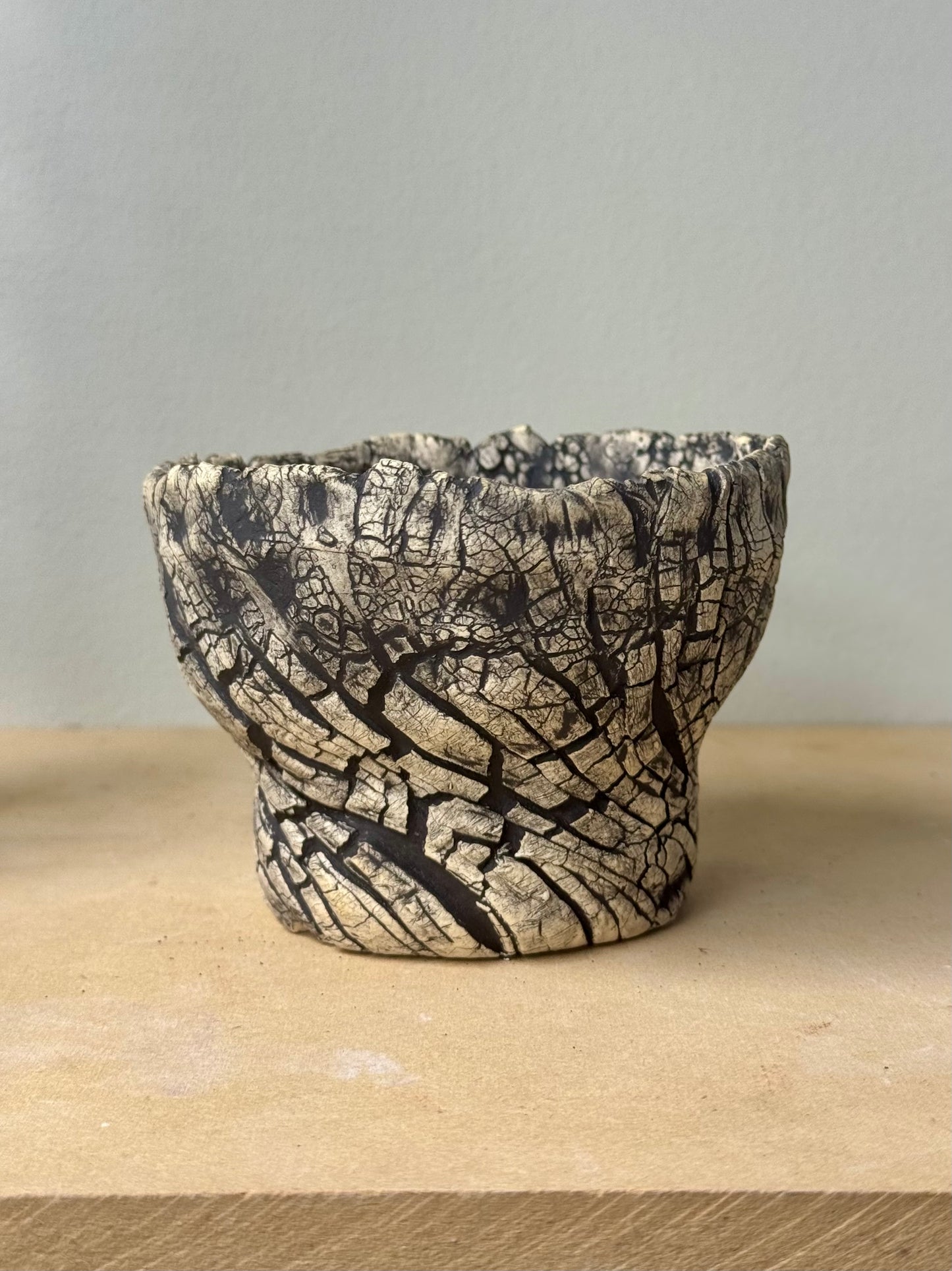 Death Valley Roots - 4 x 3”