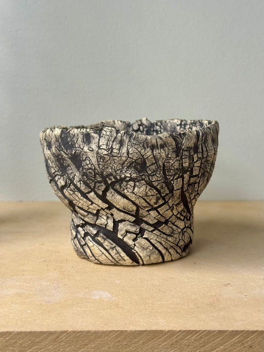 Death Valley Roots - 4 x 3”