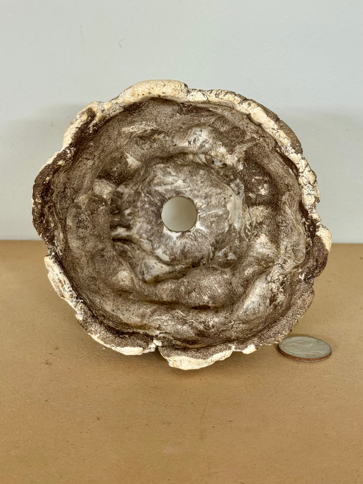 Limestone - 4.5 x 4.25”