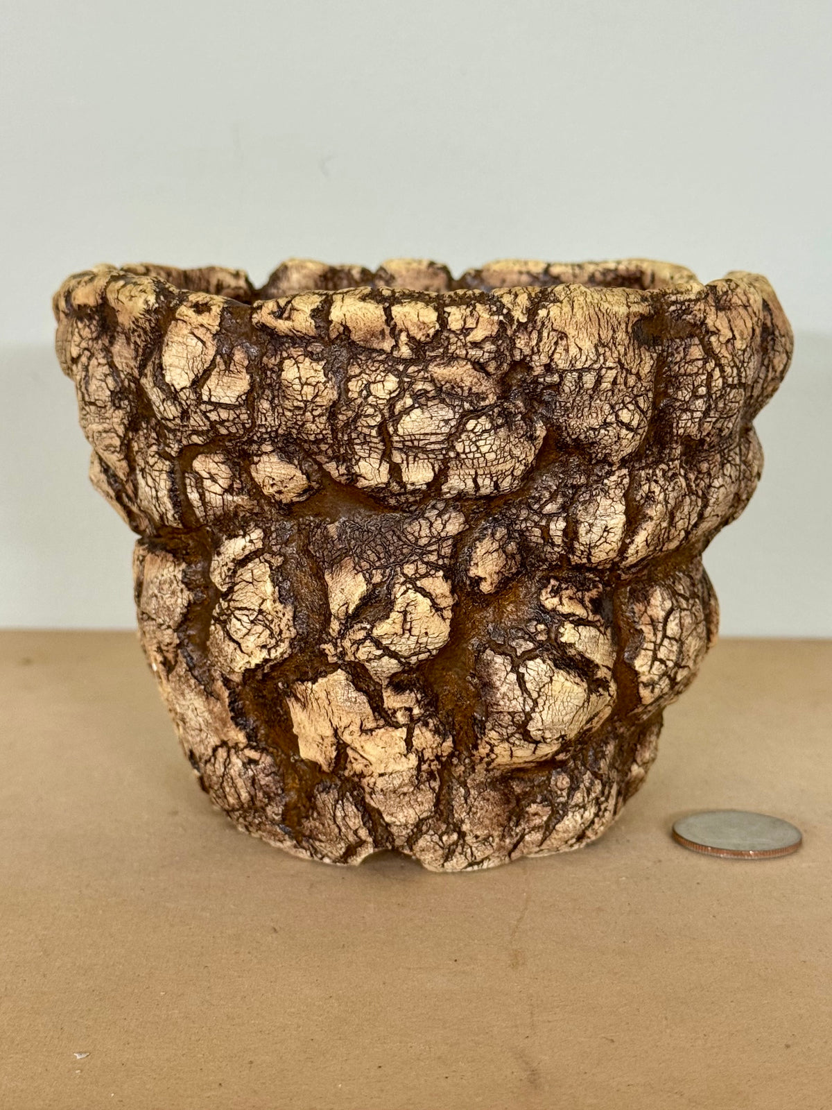 Sonoran - 5 x 4”