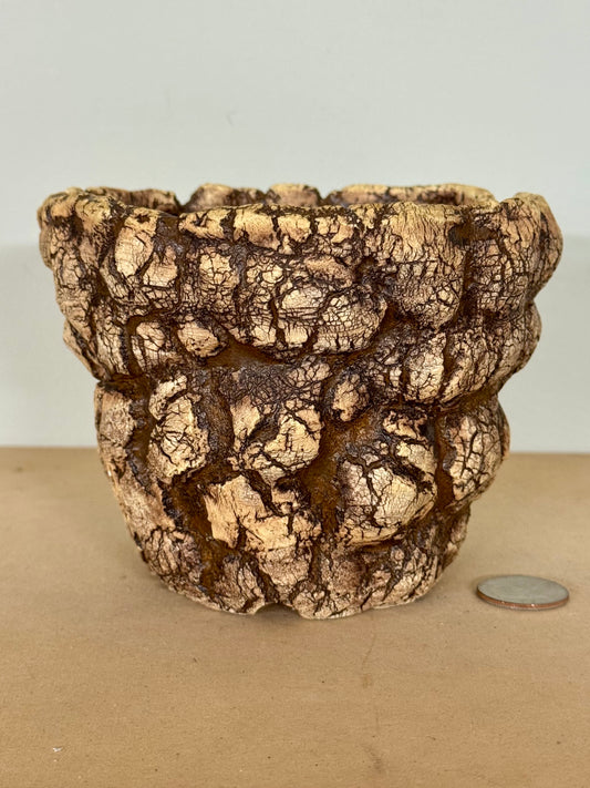 Sonoran - 5 x 4”