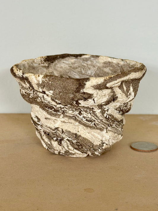 Limestone - 4.25 x 2.75”