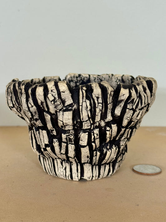 Death Valley Roots - 4.5 x 3”
