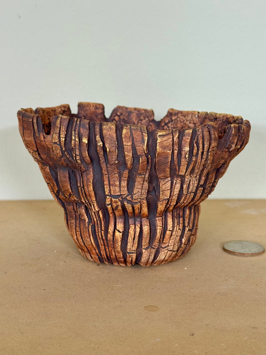 Astroid Roots - 5 x 4.75 x 3”