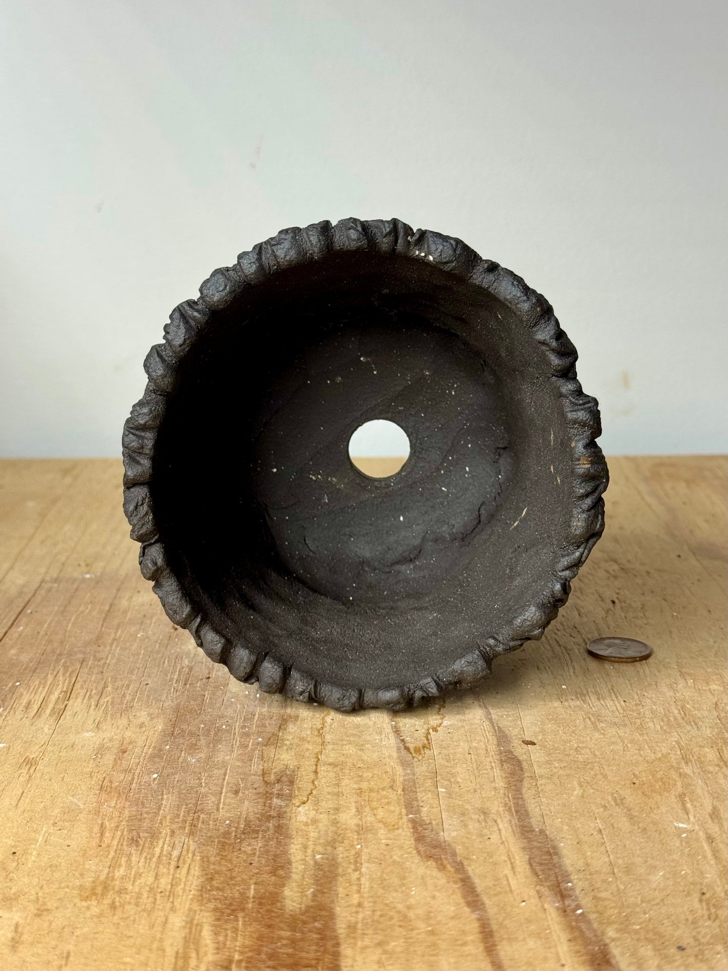 Lava Rock Roots - 5 x 3.5”