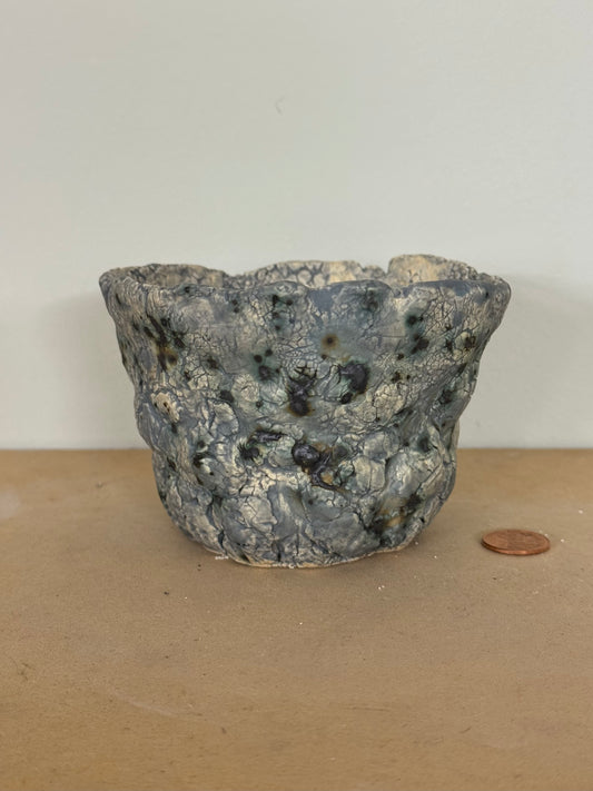 Fungi - 4.25 x 2.75”