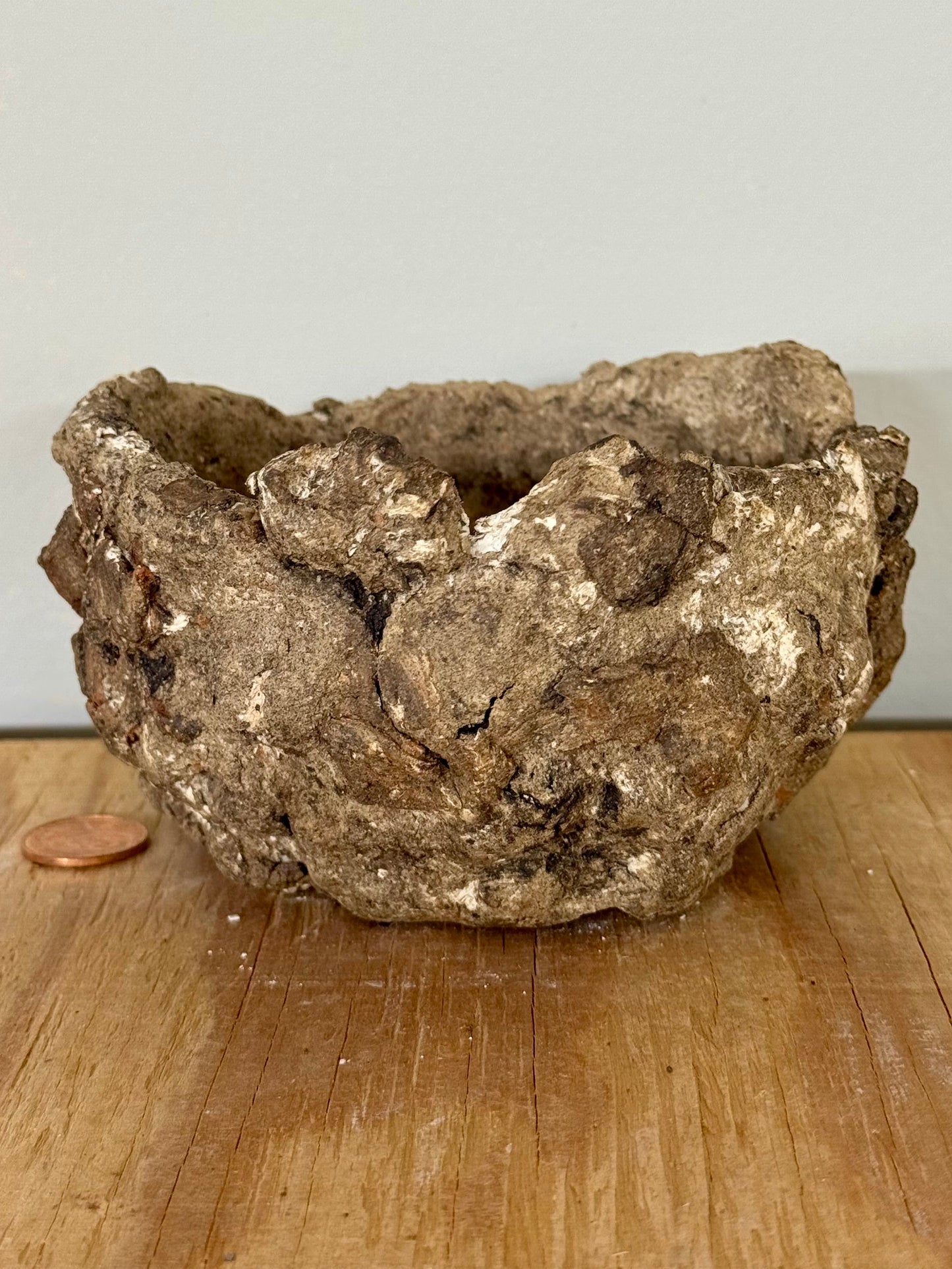 Reclaim - 4 x 2.25”