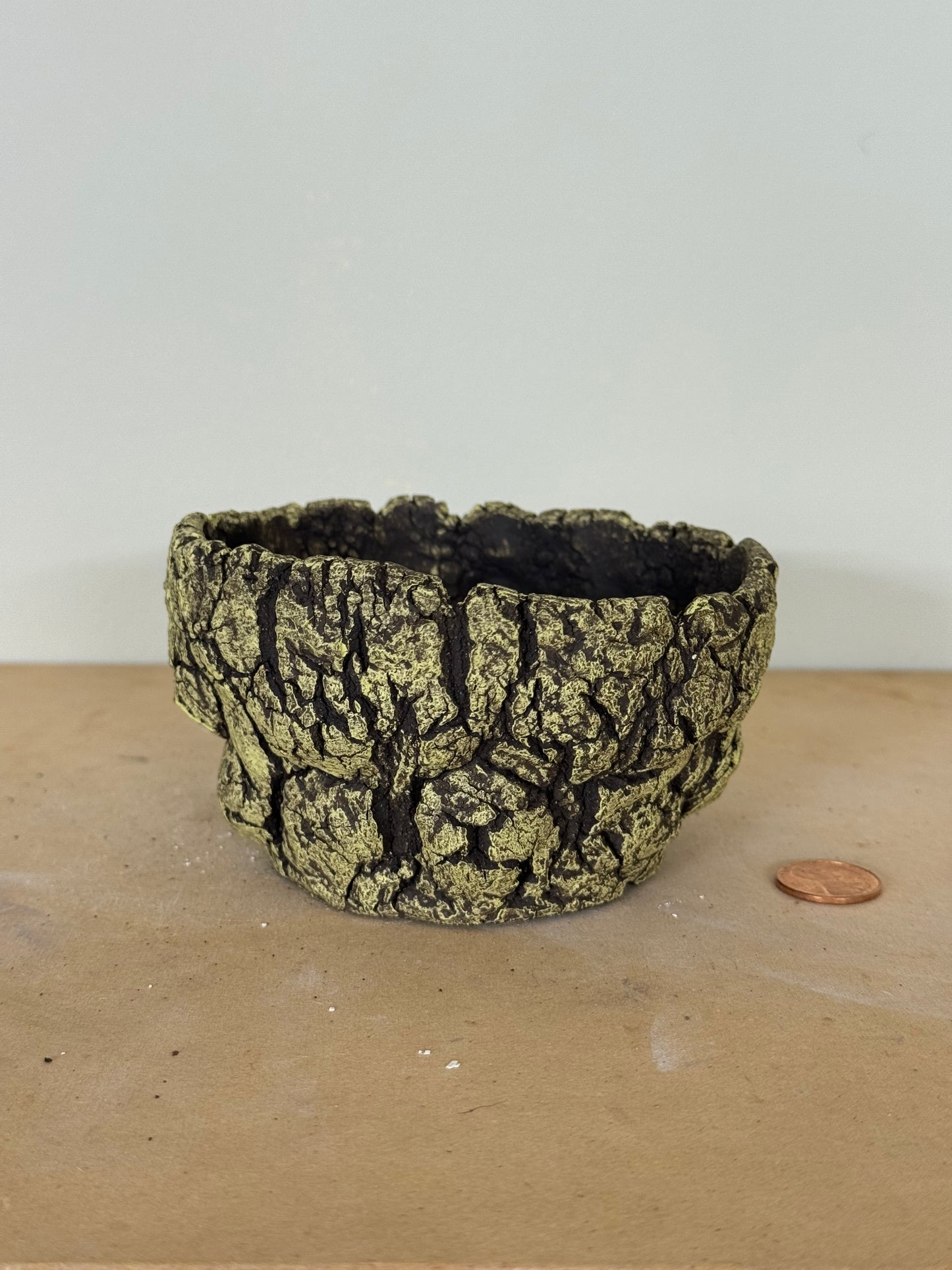 Lichen - 4 x 2.25”