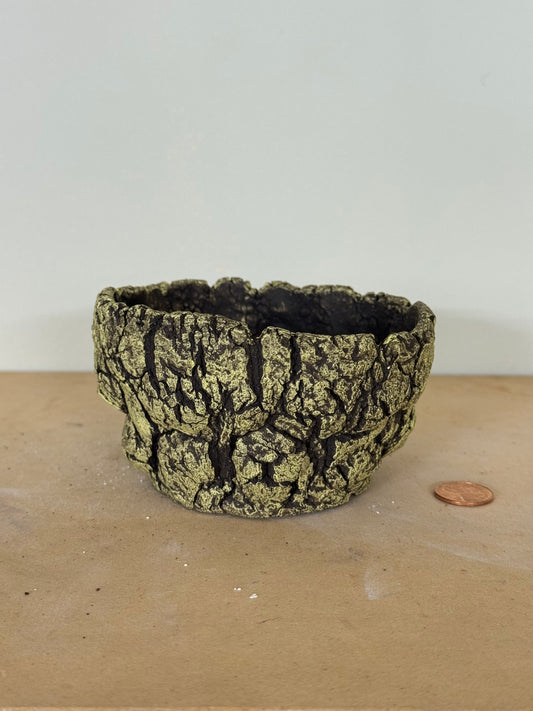 Lichen - 4 x 2.25”