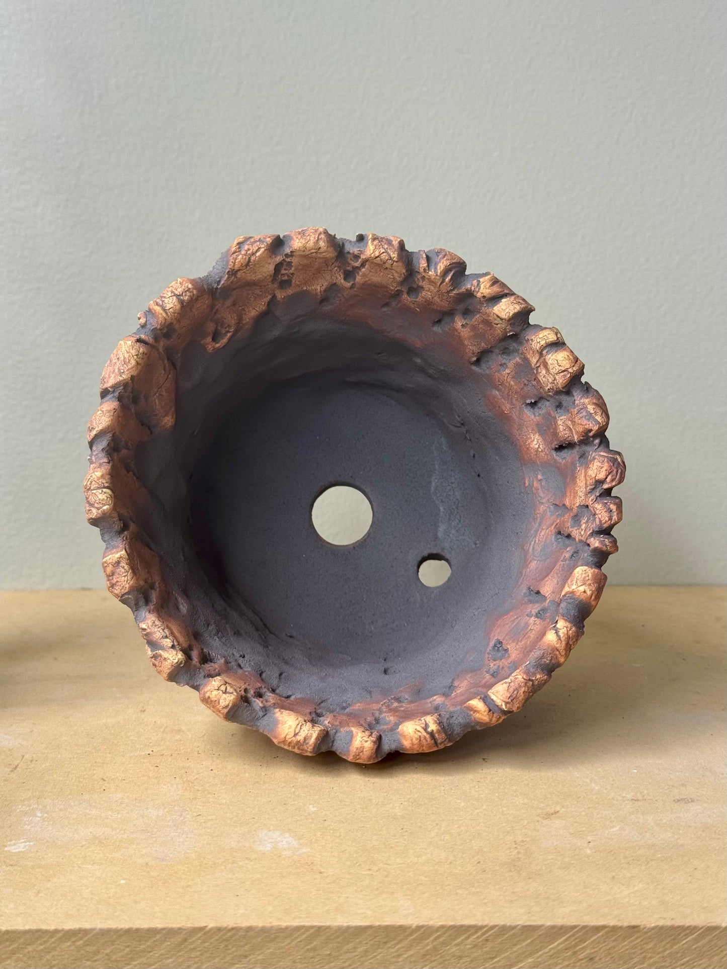 Astroid Roots - 5.5 x 5 x 3.75”