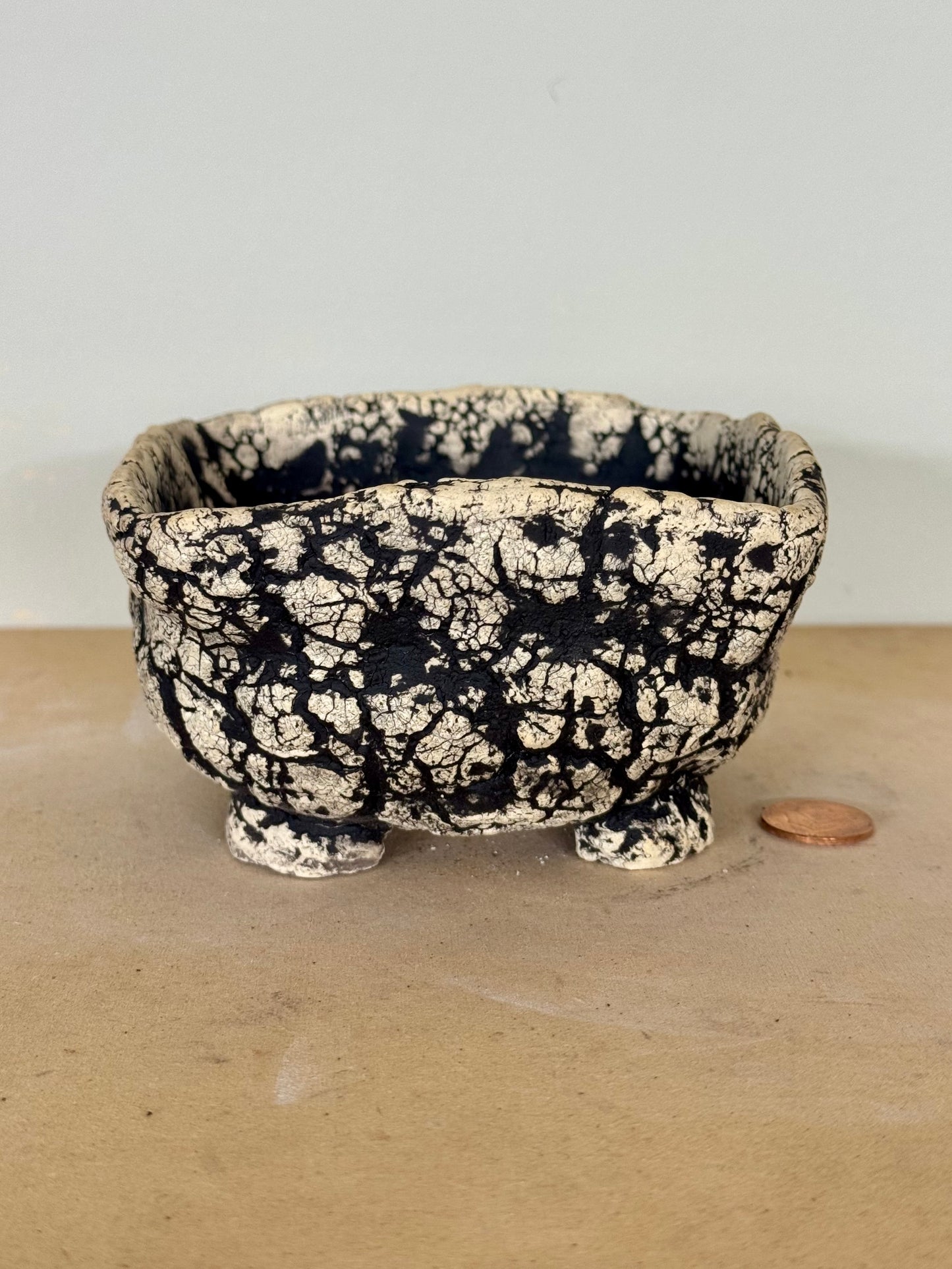 Death Valley Bonsai - 4.25 x 2.25”