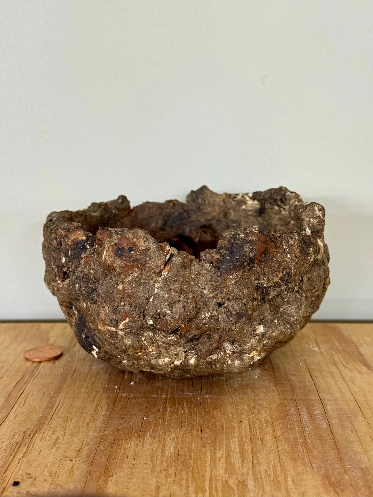 Reclaim - 5 x 2.5”