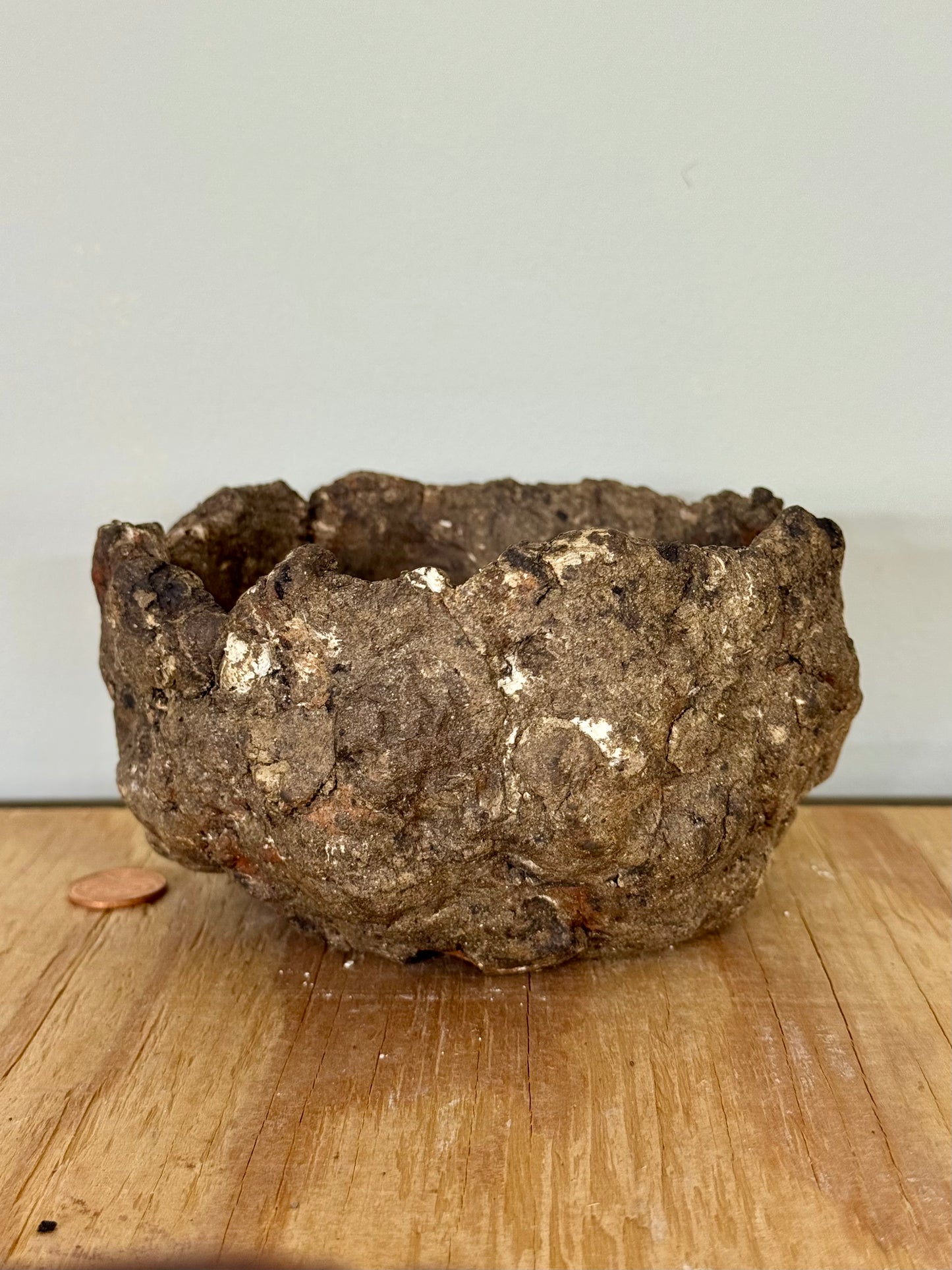 Reclaim - 5 x 2.5”