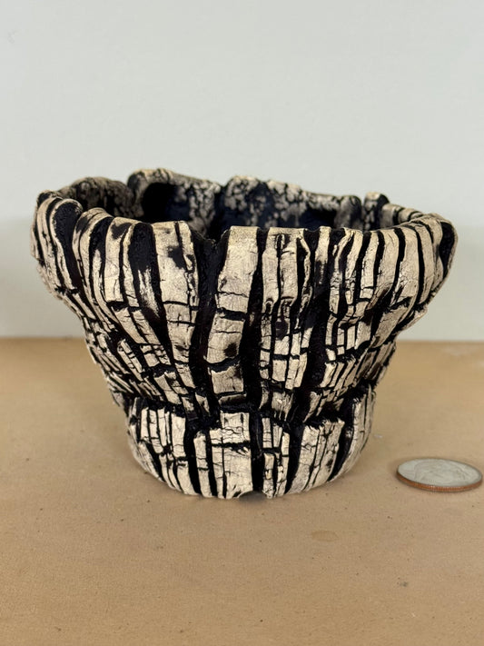 Death Valley Roots - 4.5 x 3”