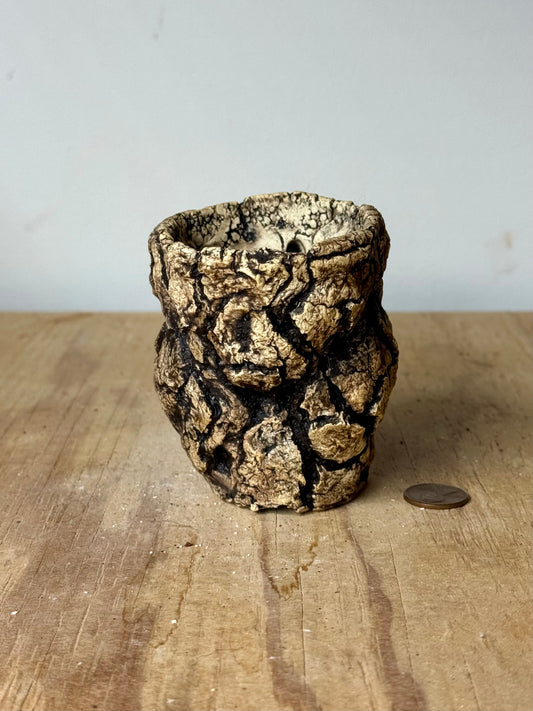 Desert small - 2.5 x 3”