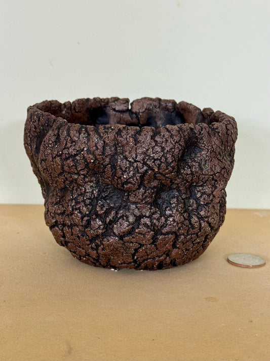 Backyard Clay - 5 x 3.5”