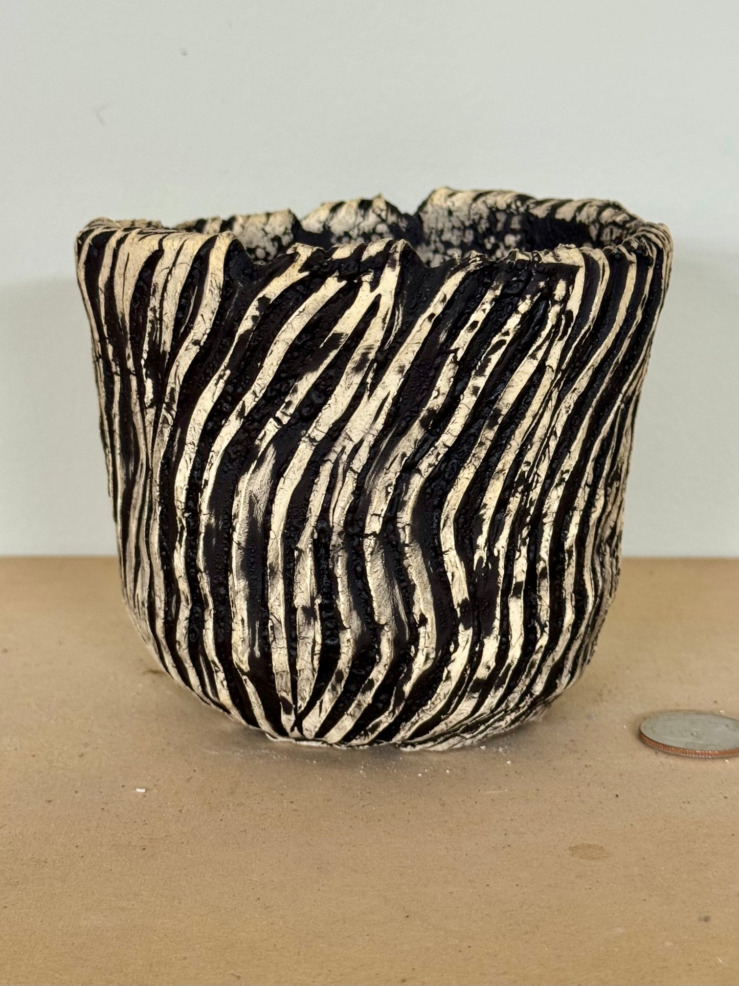 Death Valley Twisted Roots - 4.5 x 4”