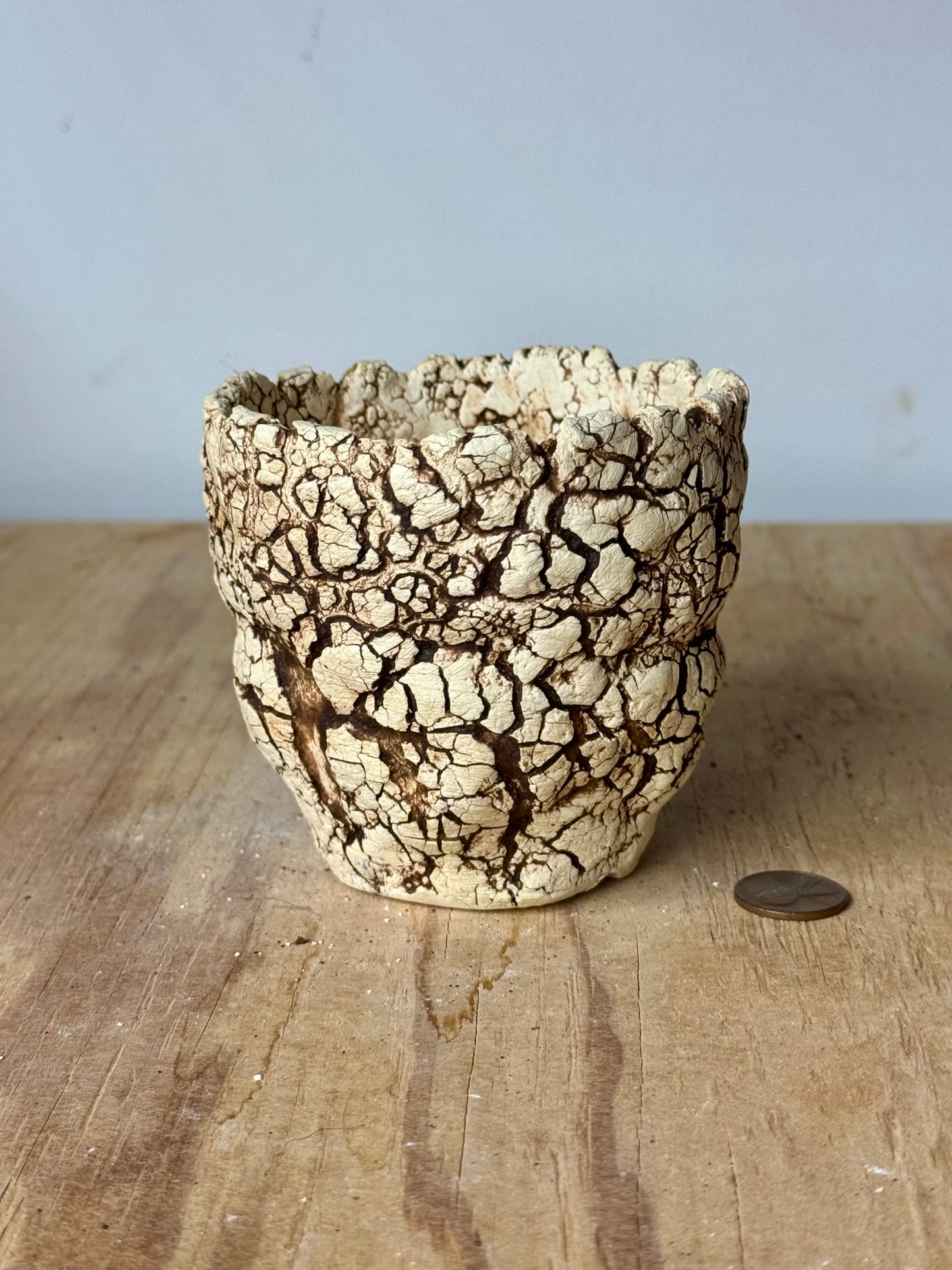 Sonoran - 3.5 x 3.25”