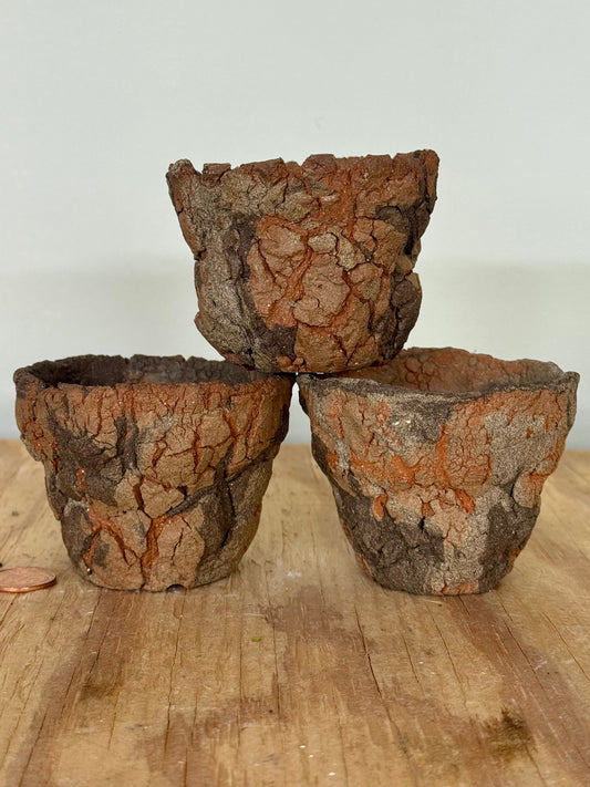 Mini Trio, Sandstorm - approx 3 x 2.25”