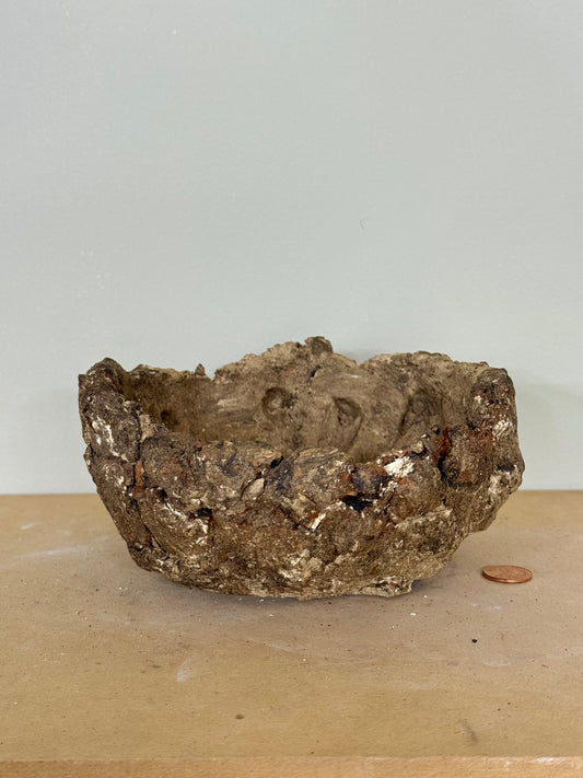 Reclaim - 6 x 2.25”