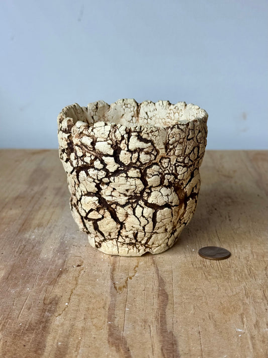 Sonoran - 3.5 x 3.25”