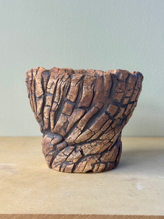 Astroid Roots - 4 x 3.25”