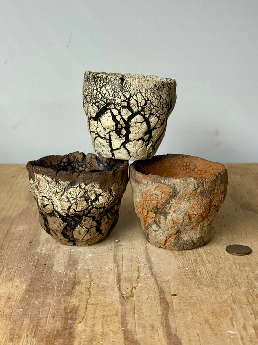 Mini trio, variety pack - approx 2.75 x 2.25”