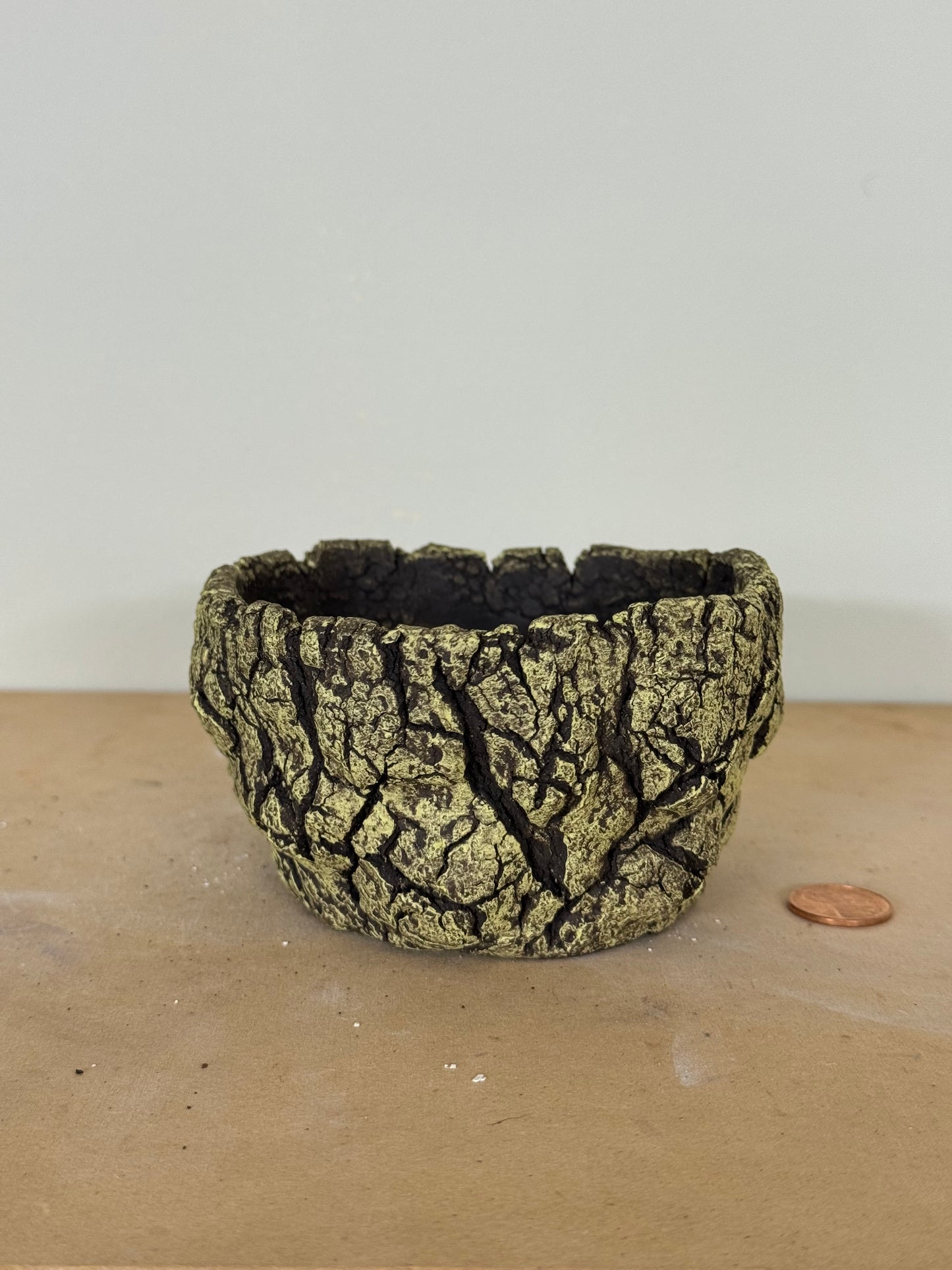 Lichen - 4 x 2.25”