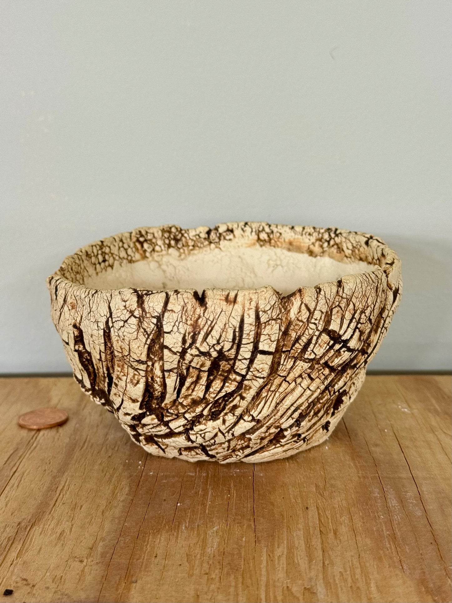 Sonoran Roots - 4.75 x 2.25”