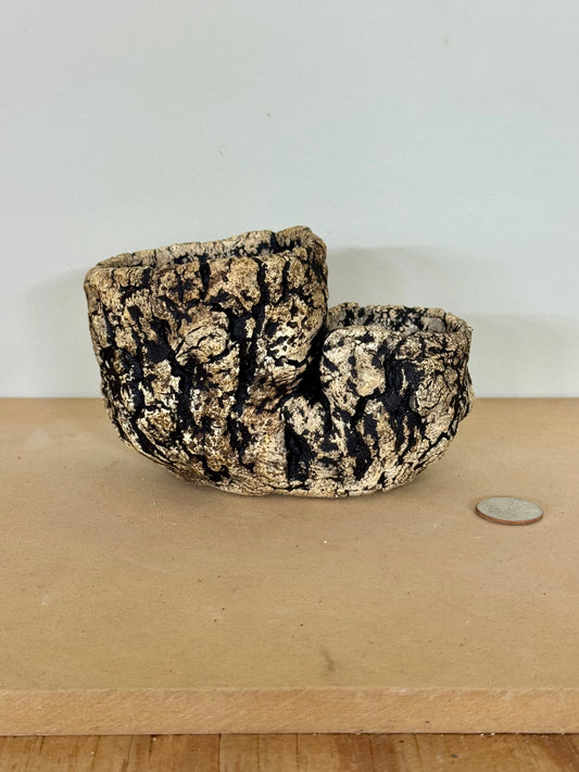 Double Barrel - approx 6 x 3 x 3.5”