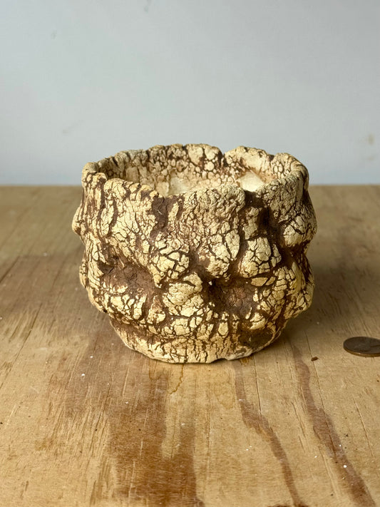 Sonoran - 3.5 x 3”