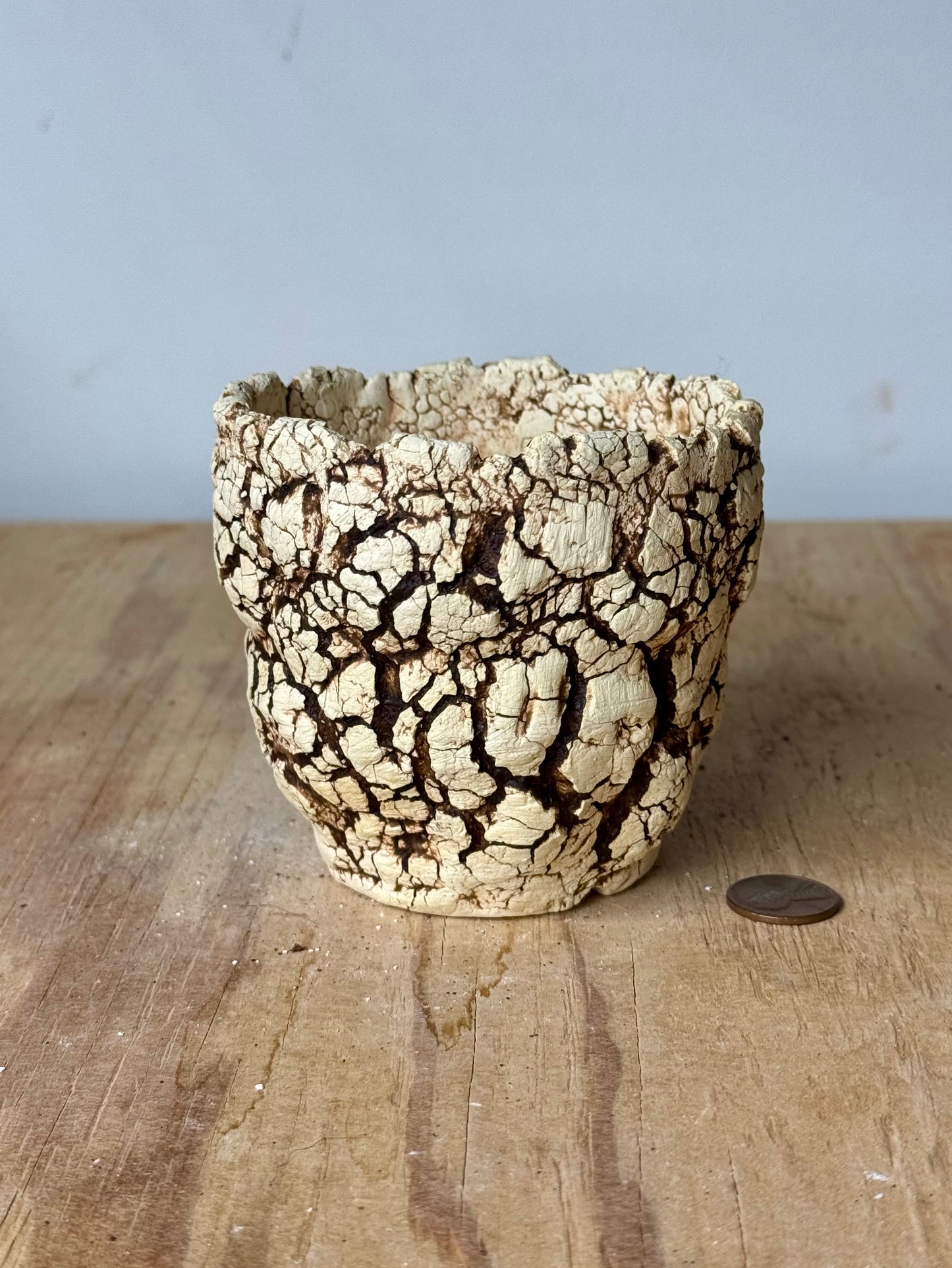 Sonoran - 3.5 x 3.25”