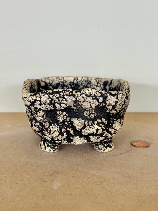 Death Valley Bonsai - 4.25 x 2.25”