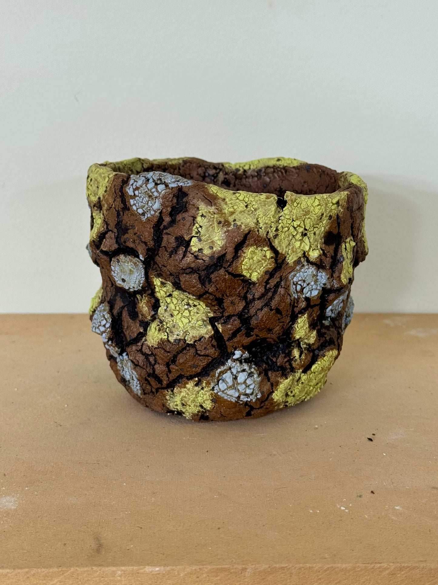 Lichen - 4.5 x 3.75”